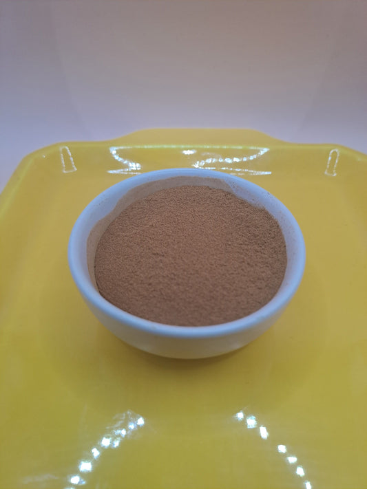 Cannelle sous forme de poudre